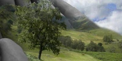 terra renovada