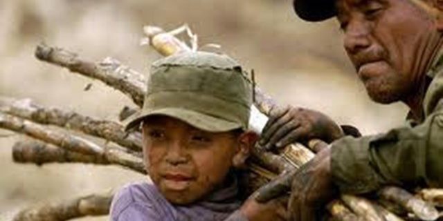 OTHER1348339_Articolo