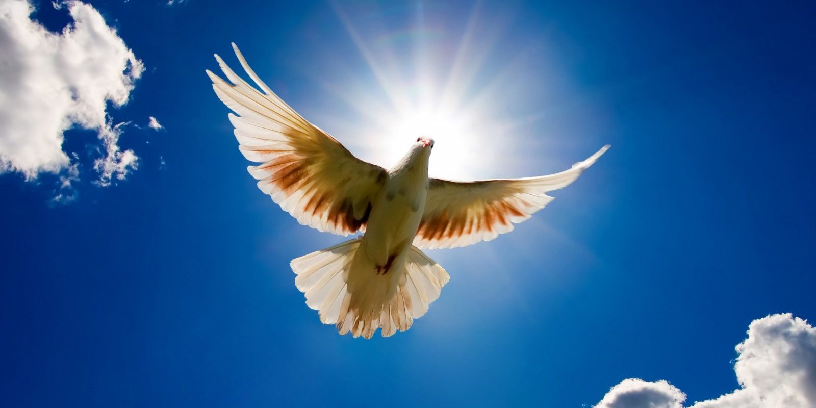 Paz, um dom do Senhor!