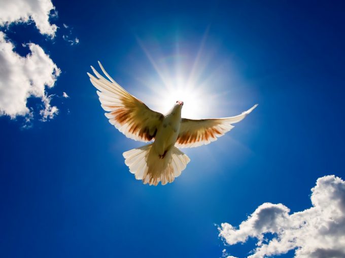 Paz, um dom do Senhor!