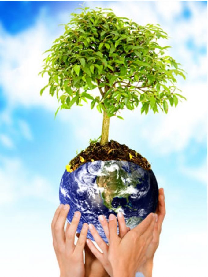 ecologia em questão
