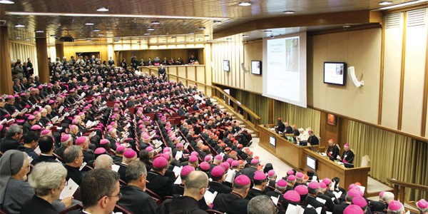 sinodo_dentro-600×306