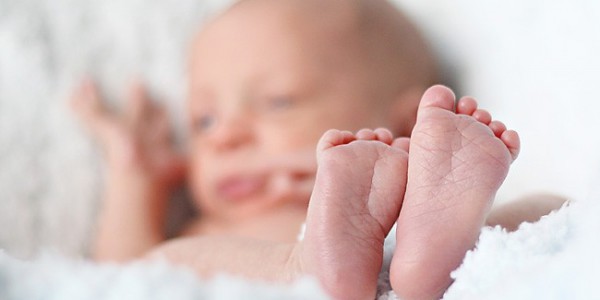filhos-600×300