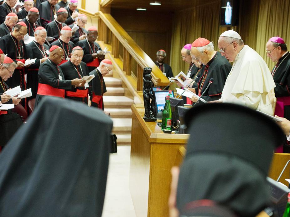 sinodo papa francisco