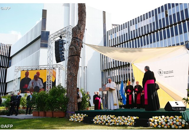 Papa aos fujncionarios PMA