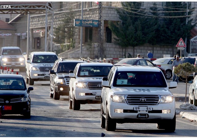 Dia mundial da humanidade