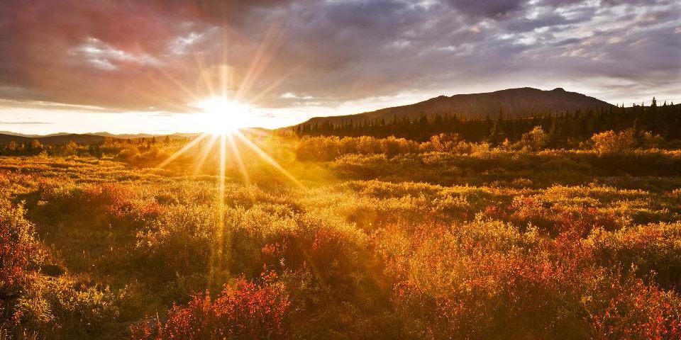 amanhecer