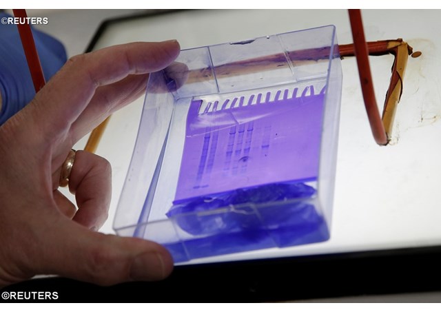 Doenças raras e esquecidas