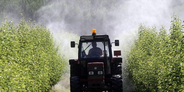 ansa1106737_articolo