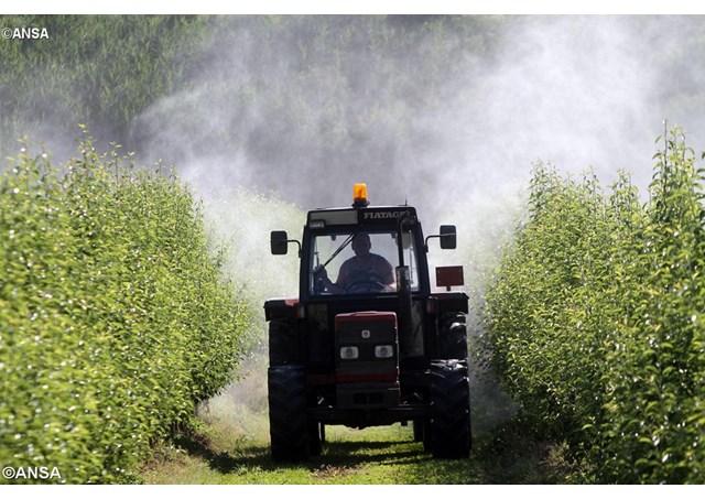 ansa1106737_articolo