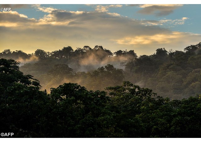 AFP6280979_Articolo
