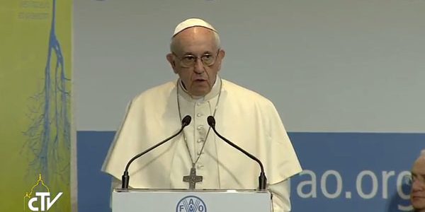 papa-fao1_reproducao-ctv