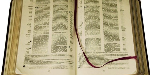 OTHER1377305_Articolo