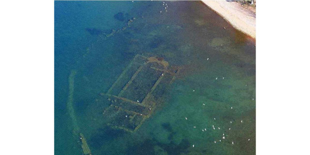 basilia_submersa