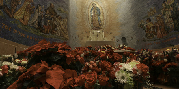 web3-poinsettias-christmas-altar-basilica-of-the-national-shrine-of-the-immaculate-conception-our-lady-of-guadalupe-fr-lawrence-lew-o-p-cc-by-nc-nd-2-0