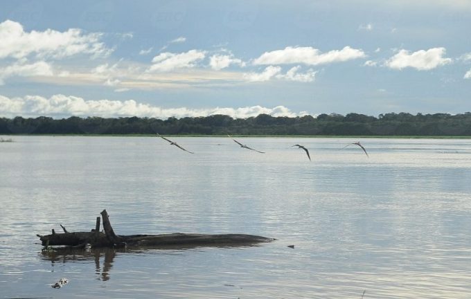 amazonia-1200x762_c
