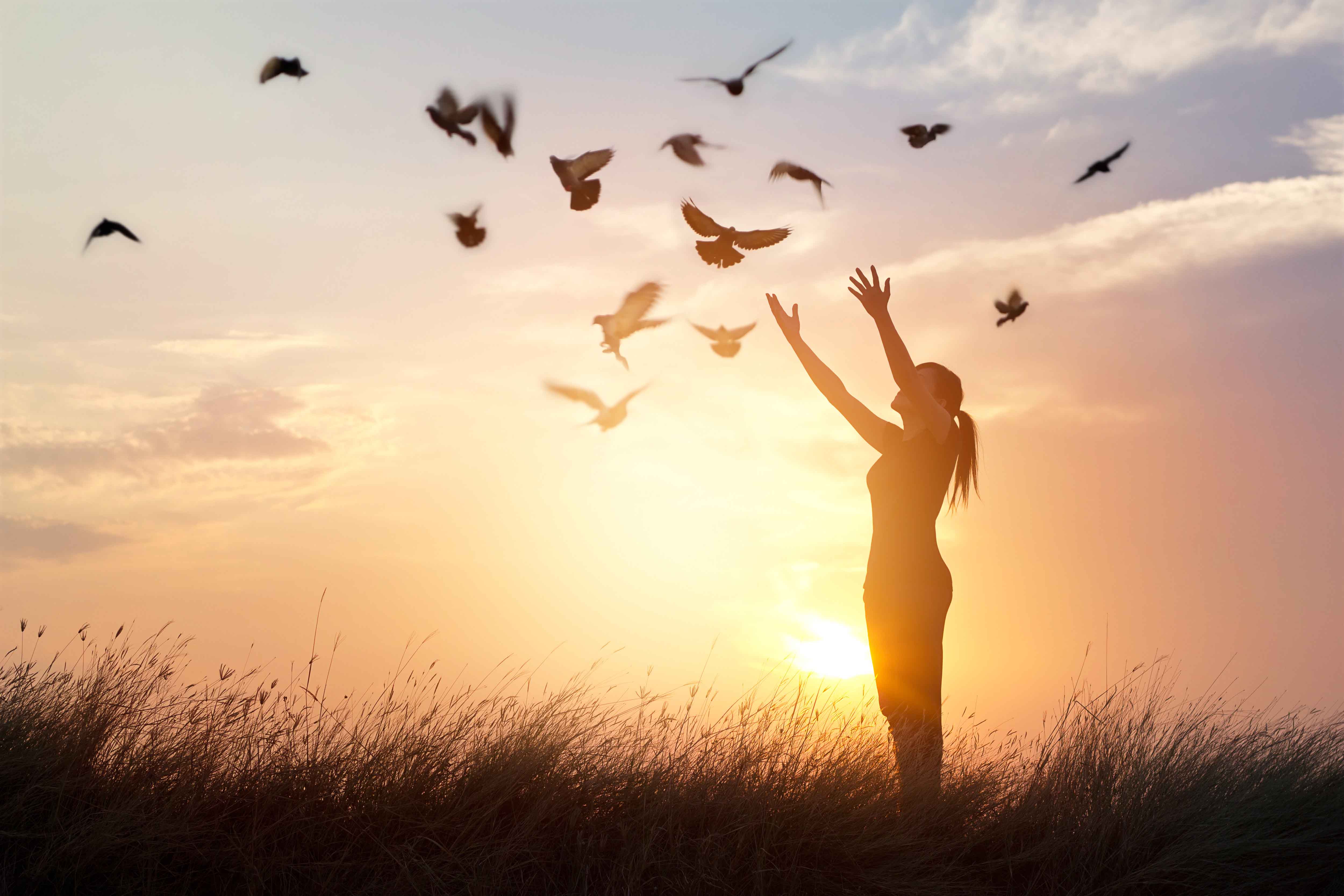 Woman praying and free bird enjoying nature on sunset background