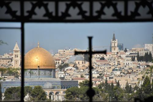 view (1)