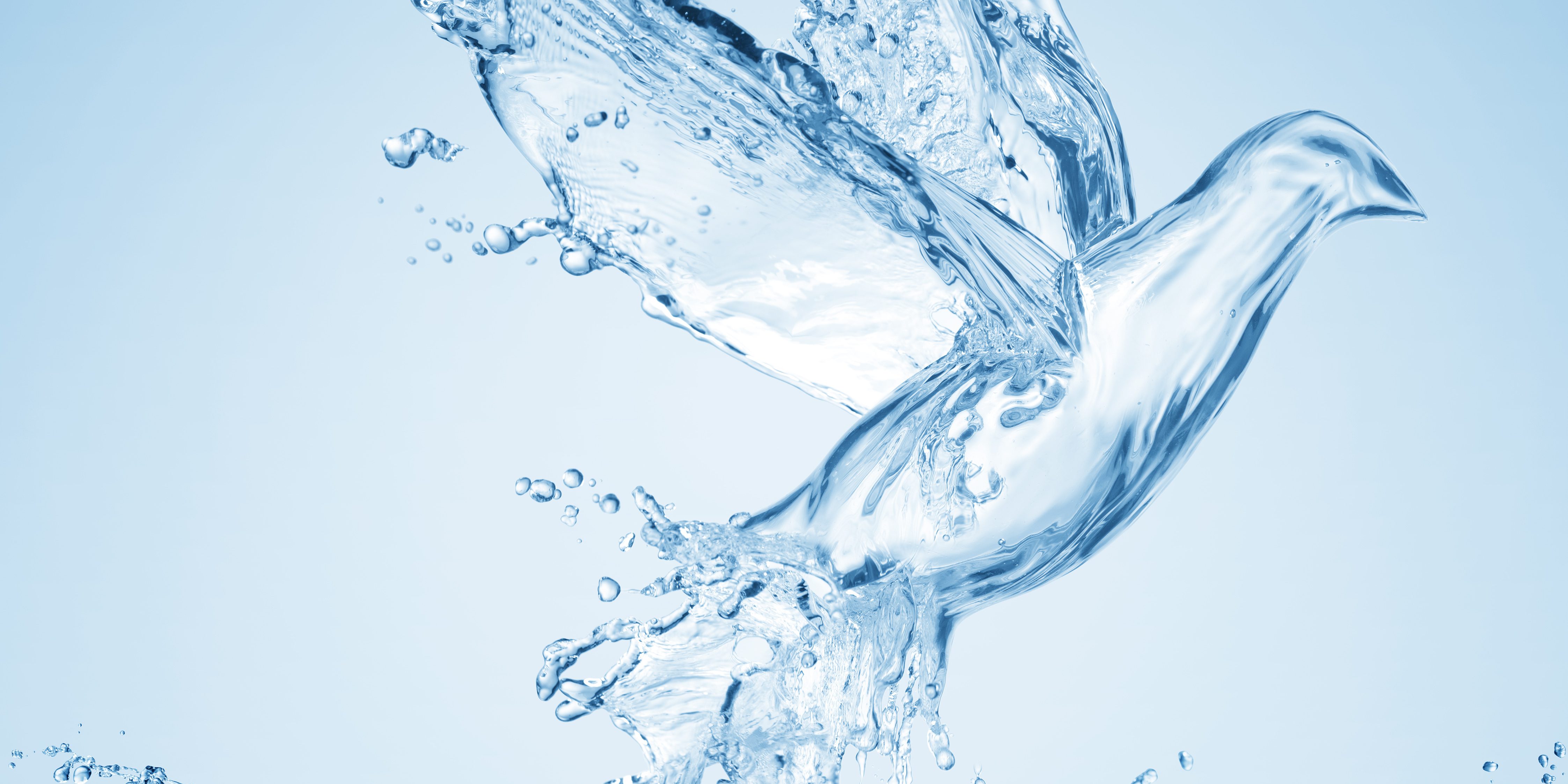 águas pela paz shutter