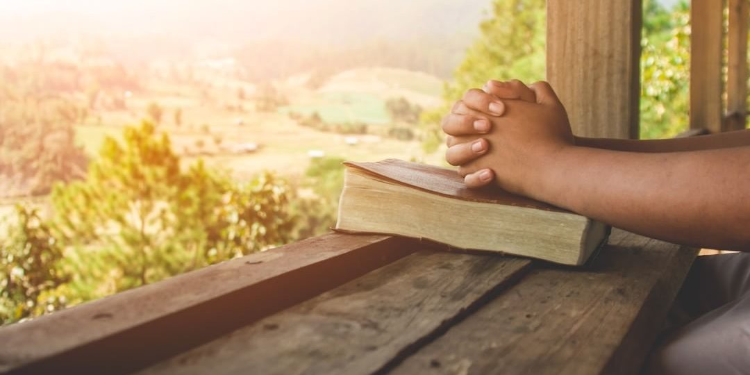 37725368_549002072181962_6198326978580316160_n