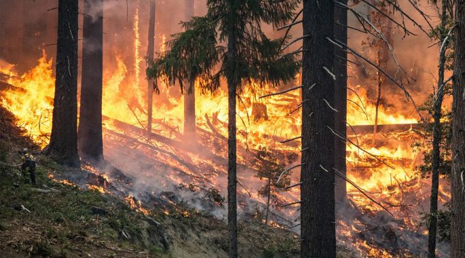 IncendioFlorestal_-_FotoPixabay
