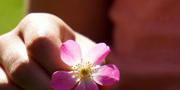 a-flower-for-you-173549_1920