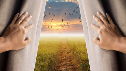 240_F_180670417_ktpVgnTzZw3me6gpmhNpCyHhNJGrORzz