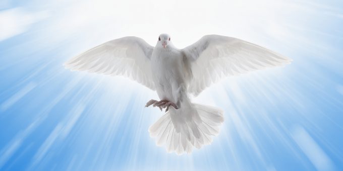 web3-holy-spirit-dove-blue-sky-clouds-trinity-shutterstock