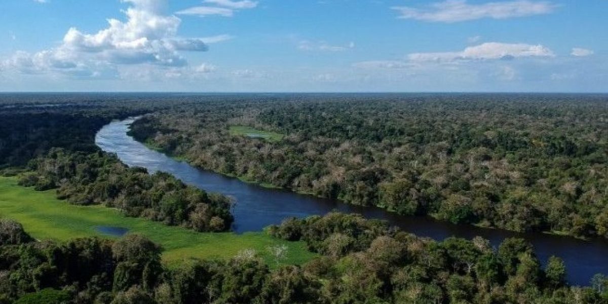 Amazônia-1200x762_c