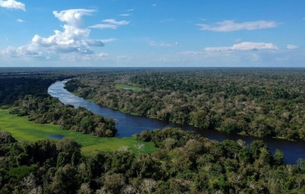 Amazônia-1200x762_c