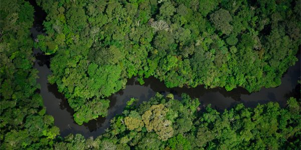 Amazônia