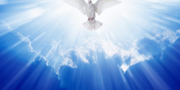 Holy spirit dove