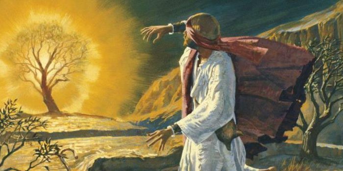 sarca-ardente-significado-950×350