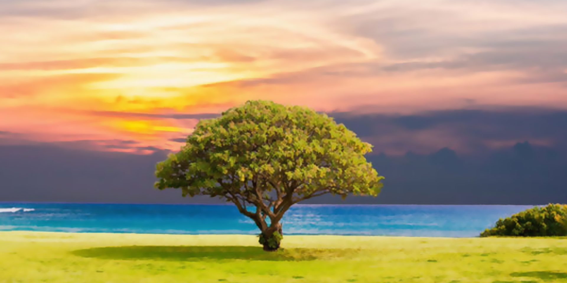 Caminhe com Deus, e seja feliz