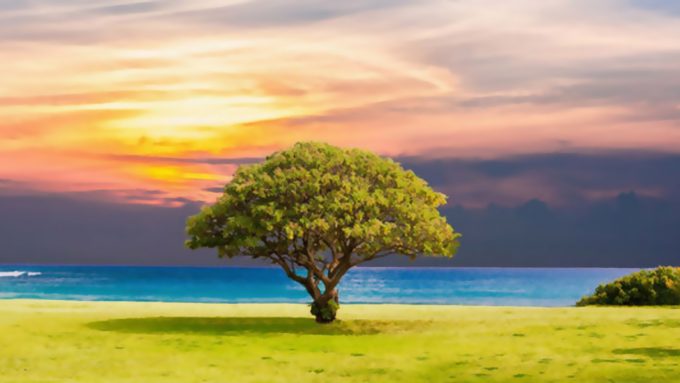 Caminhe com Deus, e seja feliz