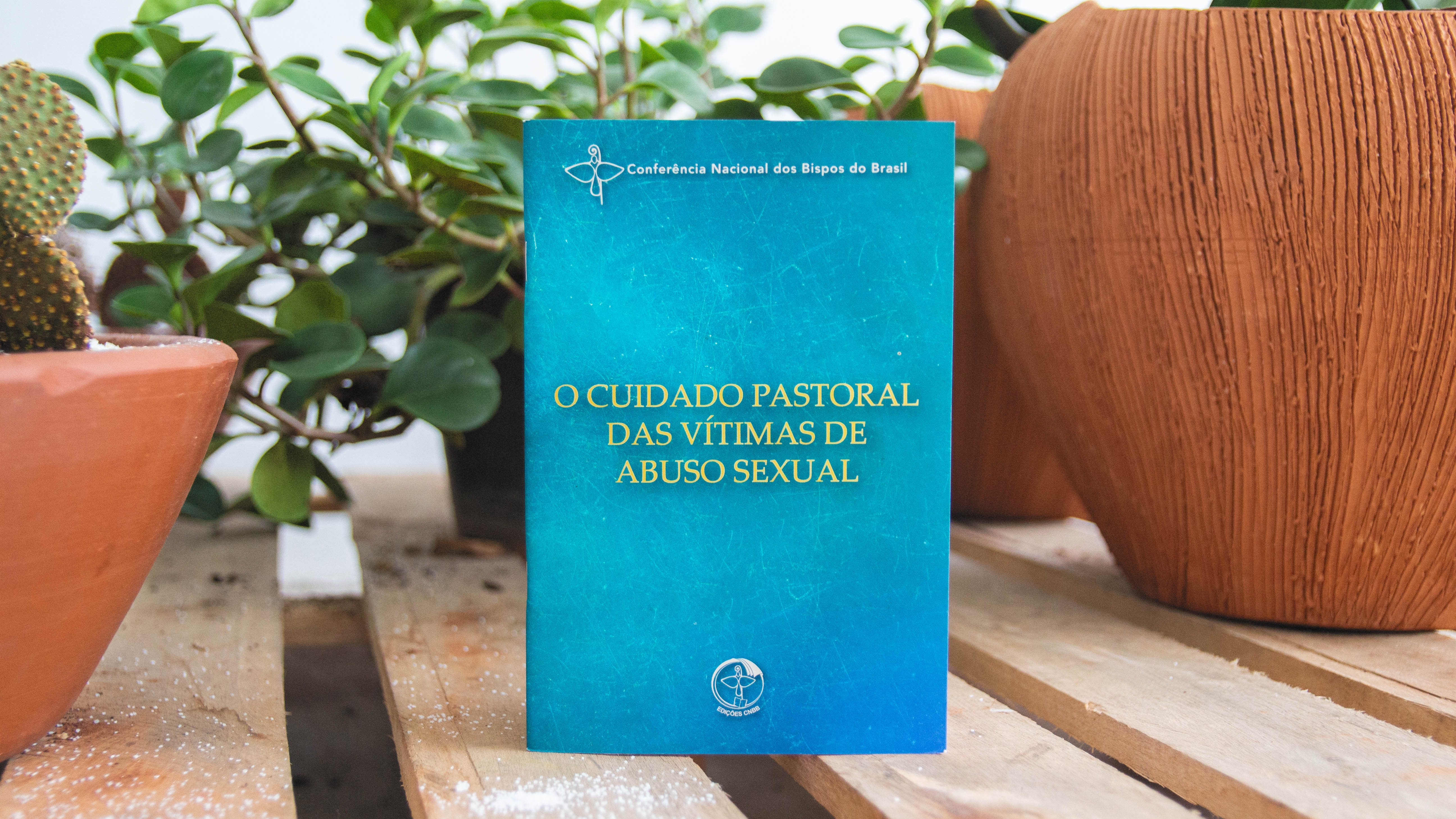 cuidado pastoral das vitimas de abuso