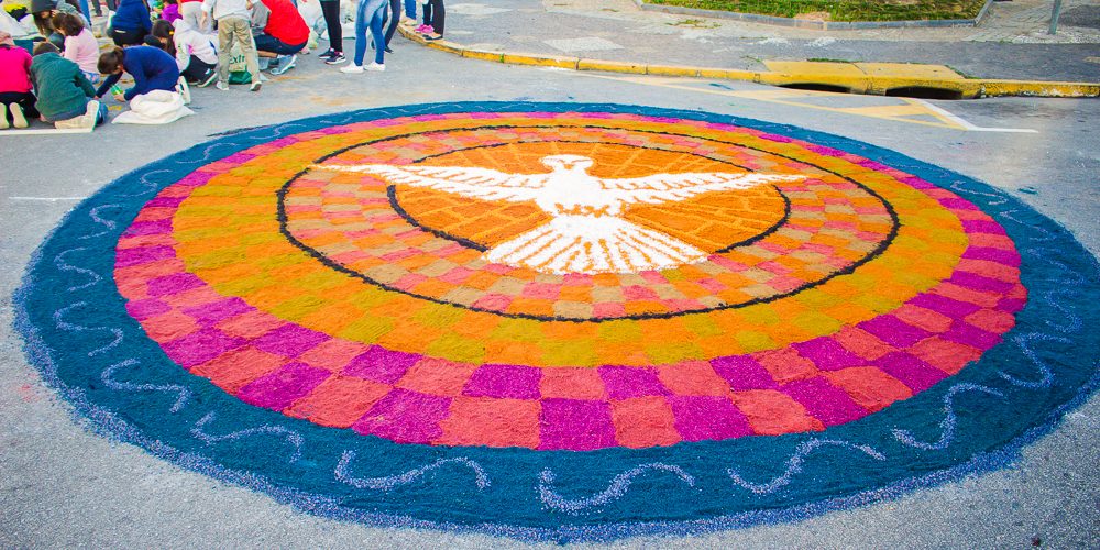 27626919127_9bf3cc7e87_o