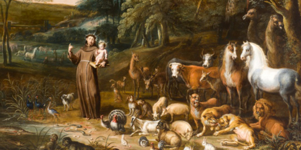 web3-st-francis-animals-wikipedia-