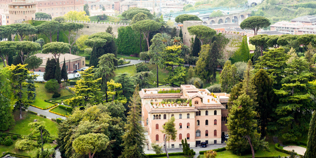 web3-vatican-gardens-tree-foliage-shutterstock_687296515
