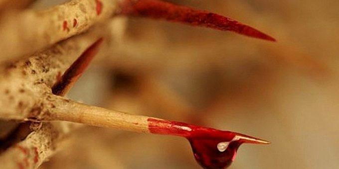 consagracao-ao-preciosissimo-sangue-de-jesus-1-1280×640