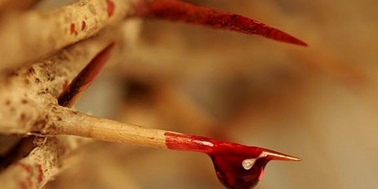 consagracao-ao-preciosissimo-sangue-de-jesus-1-1280×640