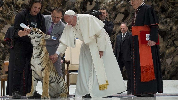 cq5dam.thumbnail.cropped.750.422 (12)