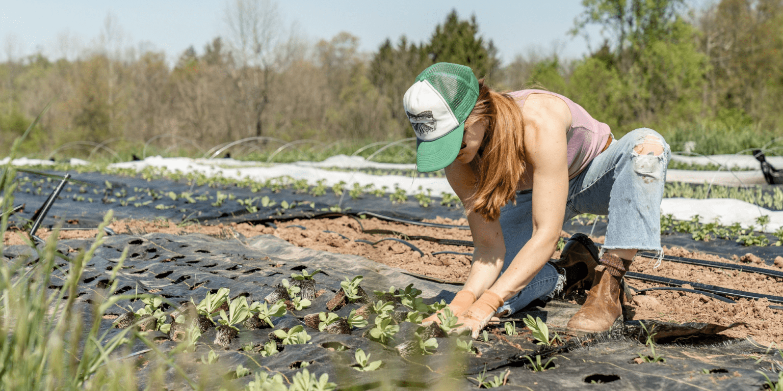 agricultora-cultivo-alimentos-_-foto-Zoe-Schaeffer-via-Unsplash-1536×864