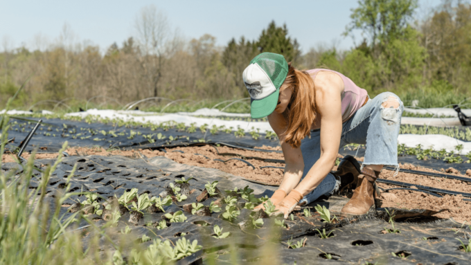 agricultora-cultivo-alimentos-_-foto-Zoe-Schaeffer-via-Unsplash-1536×864