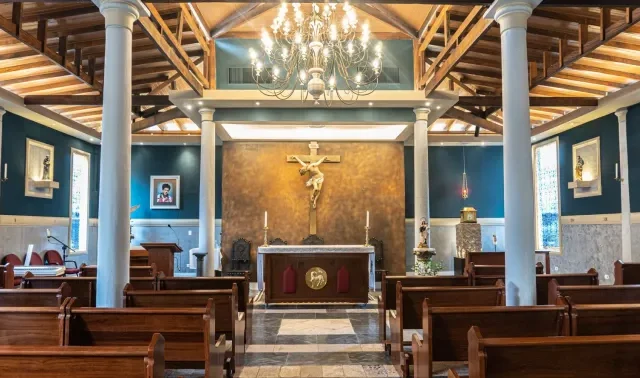 Assembleia Geral da CNBB decide mudar dia de são Carlo Acutis para 13 de outubro no Brasil