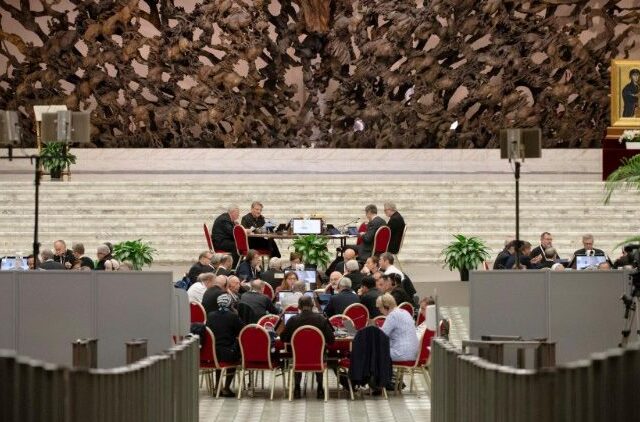 As próximas etapas do caminho sinodal serão em junho