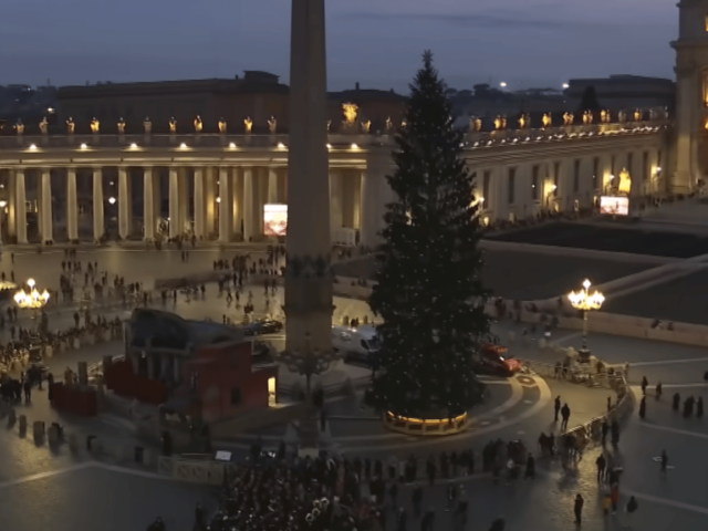 Crianças enfermas decorarão a árvore de Natal da Praça São Pedro