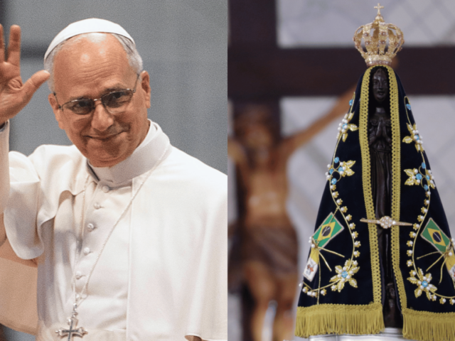 Papa aos brasileiros: que Nossa Senhora Aparecida vos proteja